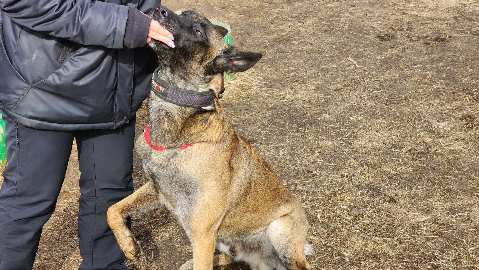 протвино, из выпускниц в преподаватели, губернский колледж, образование,