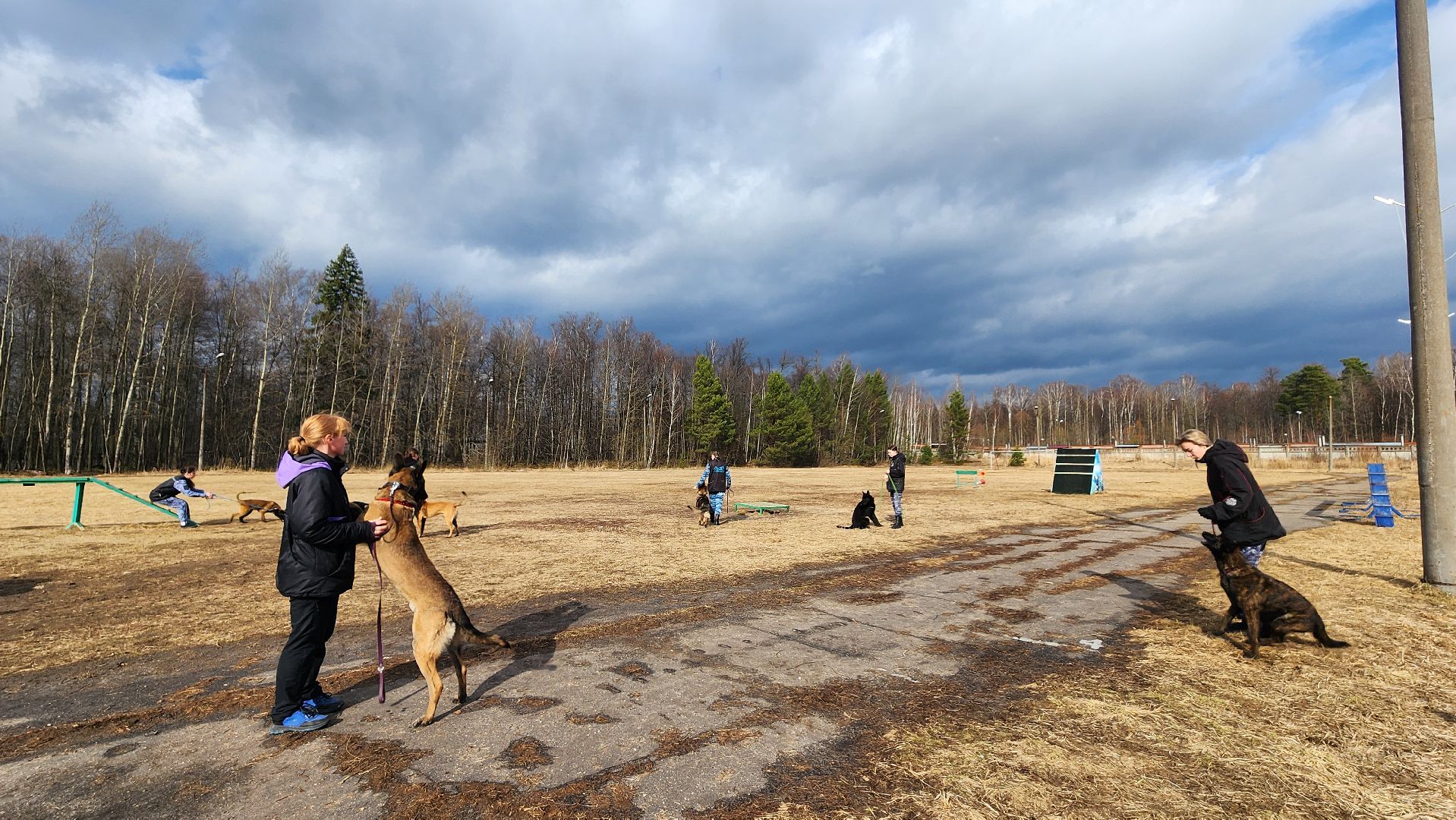 протвино, из выпускниц в преподаватели, губернский колледж, образование,