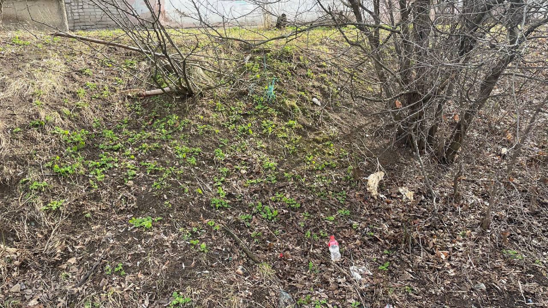 выездная администрация, общество, лыткарино,