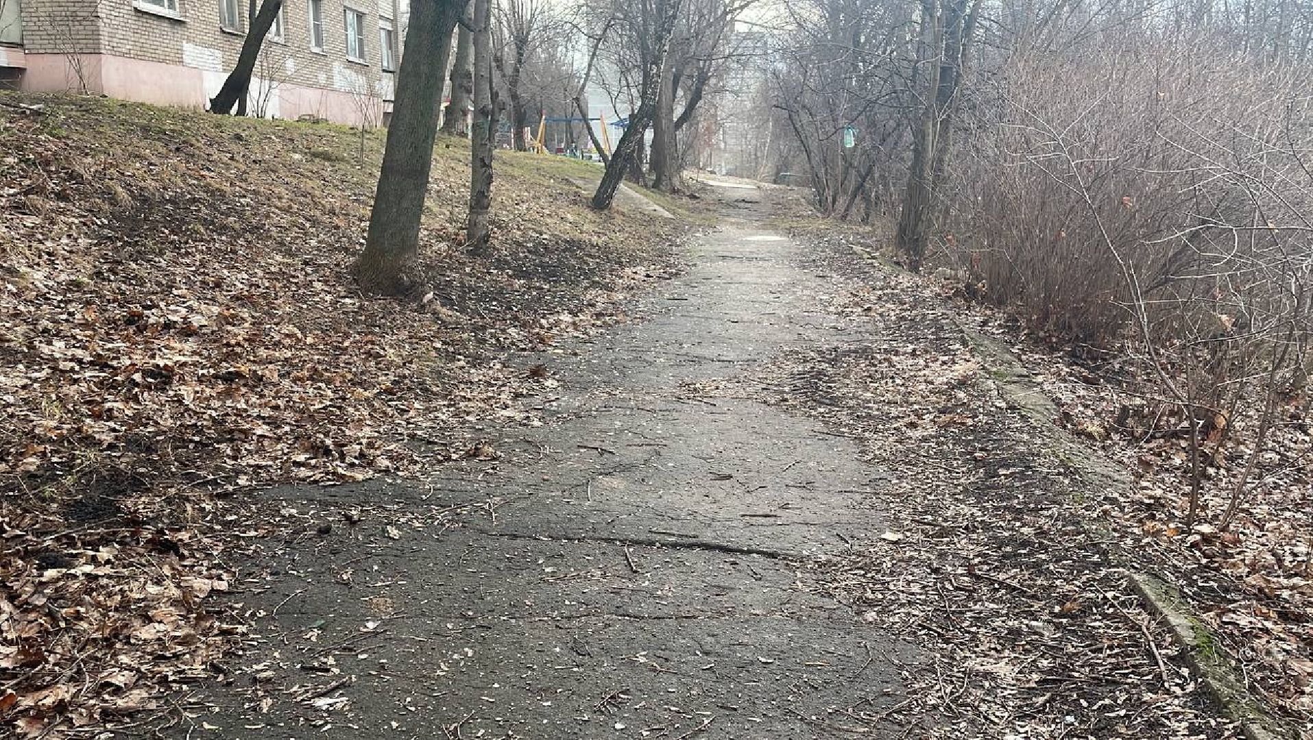 выездная администрация, общество, лыткарино,