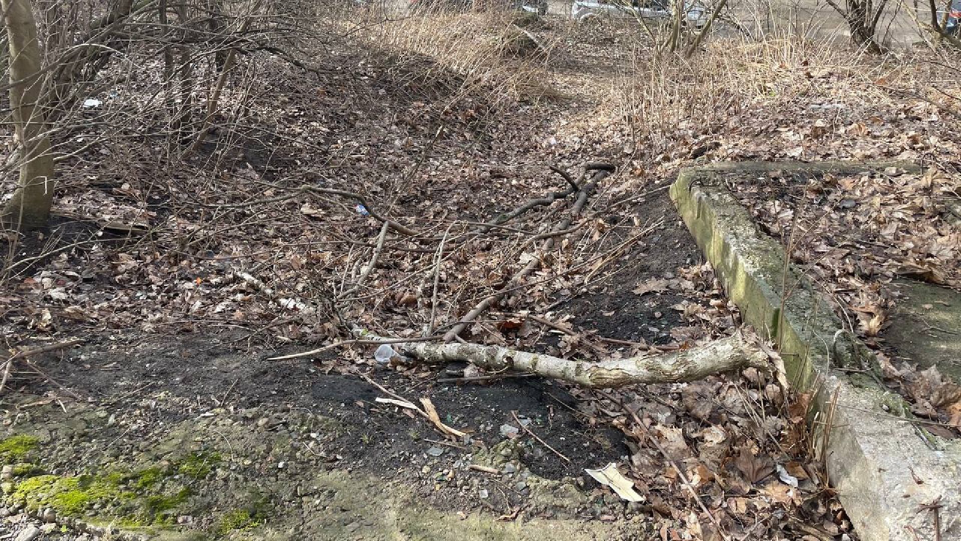 выездная администрация, общество, лыткарино,