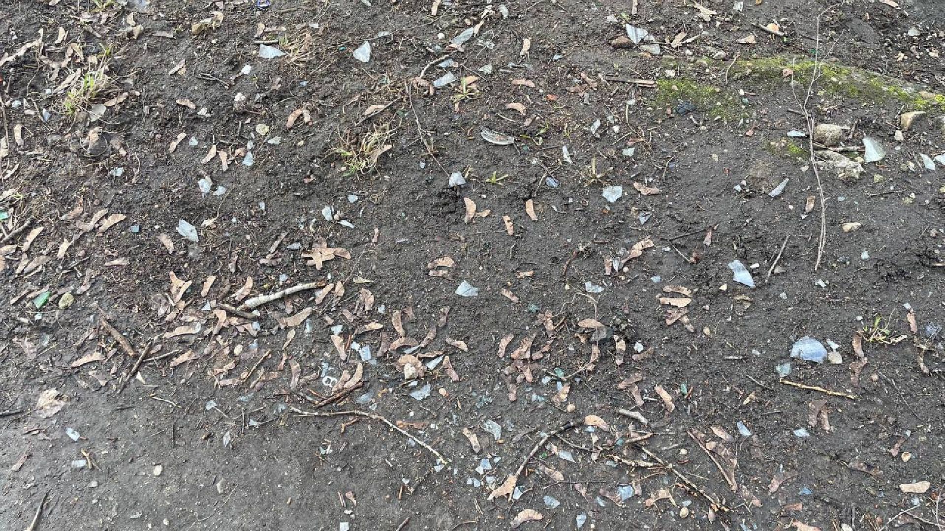 выездная администрация, общество, лыткарино,