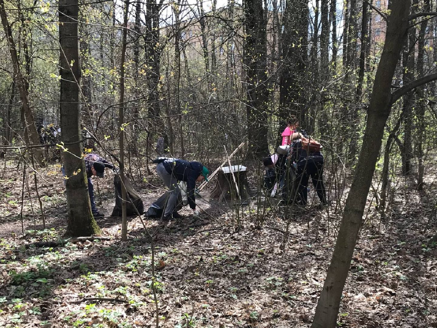 Химки, Левобережный, субботник, уборка, благоустройство
