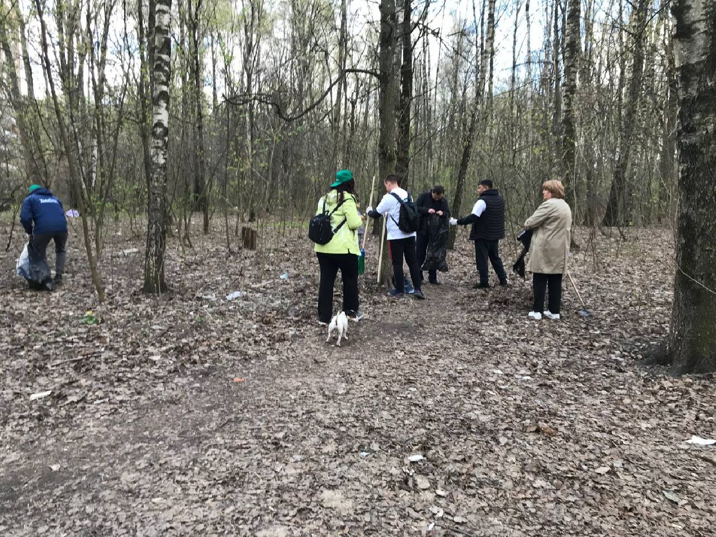 Химки, Левобережный, субботник, уборка, благоустройство