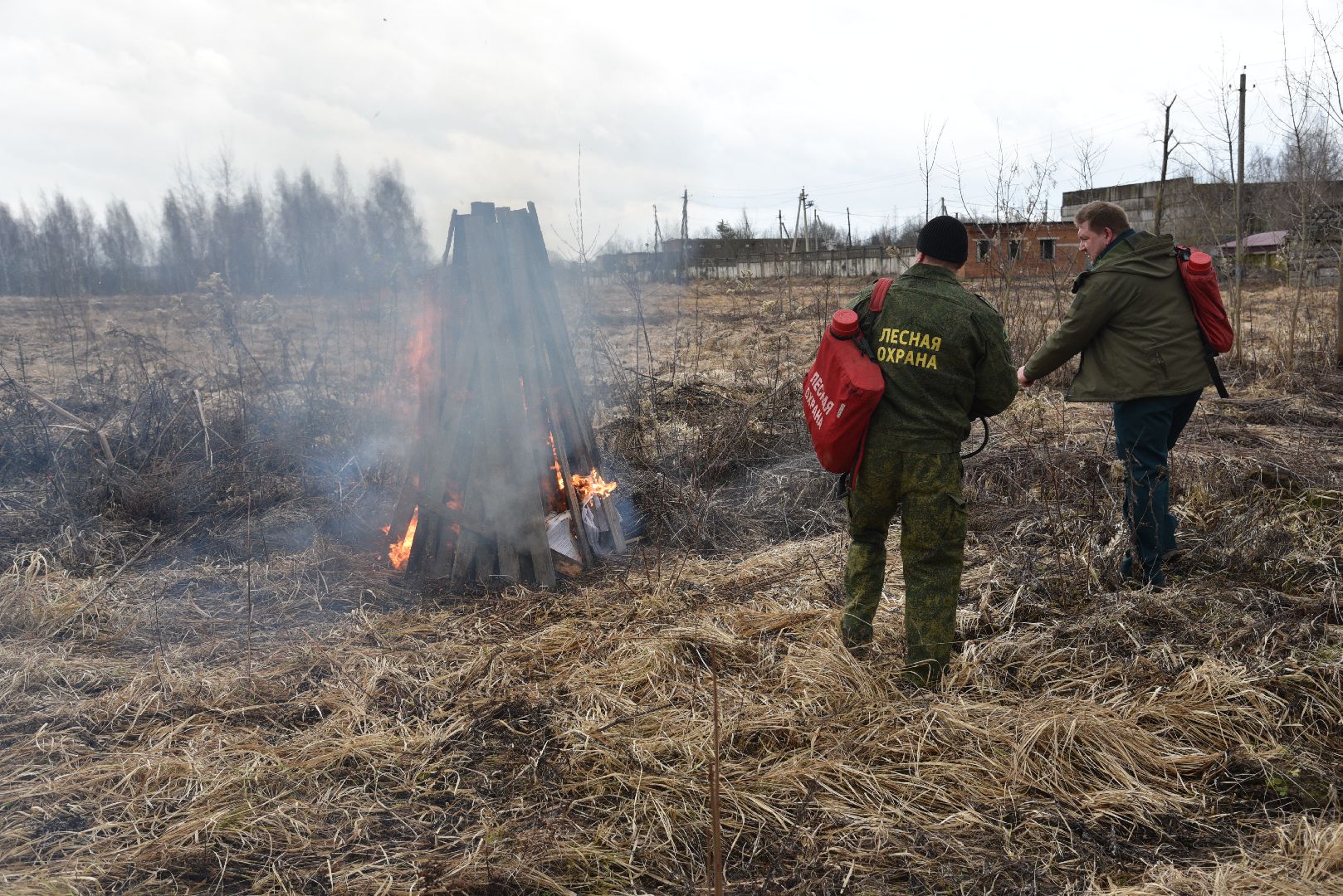 лотошино, тушение пожаров, учения, мособлпожспас, мособллес, центрлесхоз,