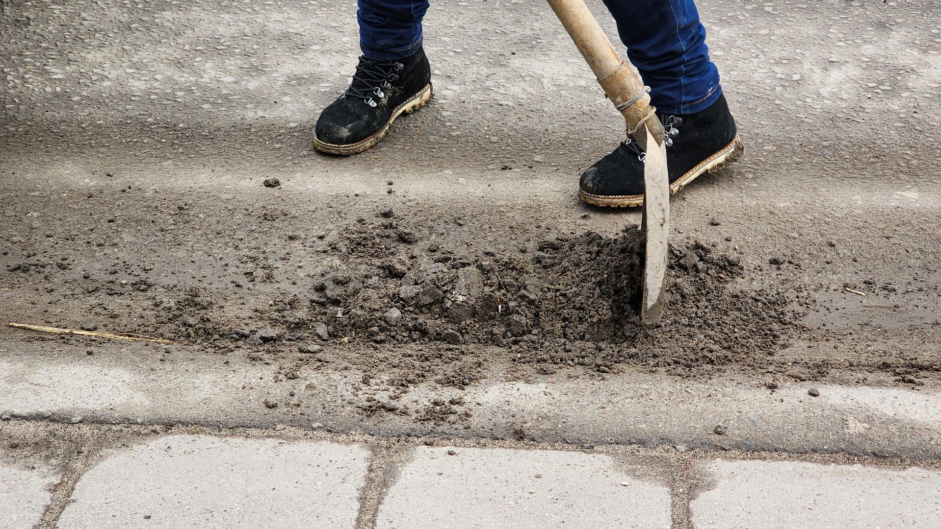 солнечногорск, лицей 7, ЕГЭ для родителей, образование,