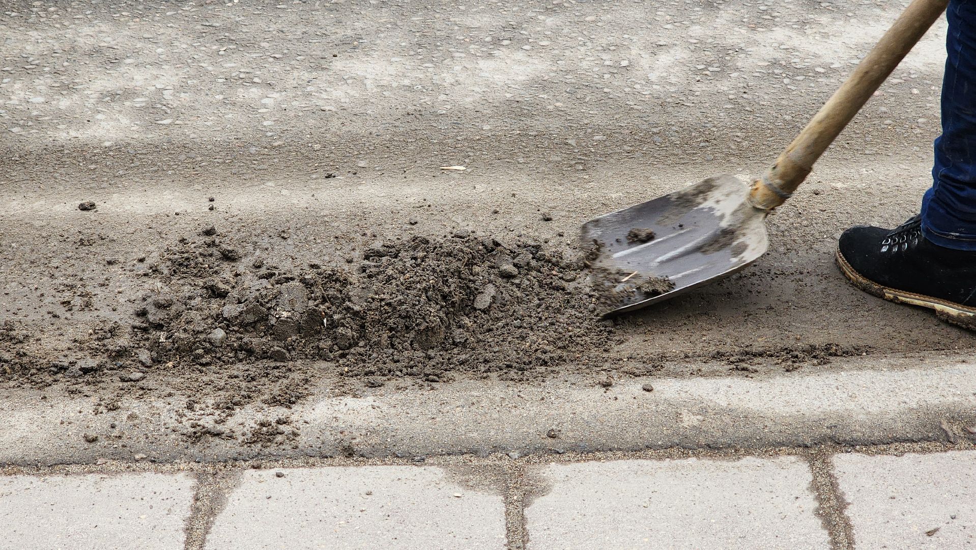 солнечногорск, лицей 7, ЕГЭ для родителей, образование,