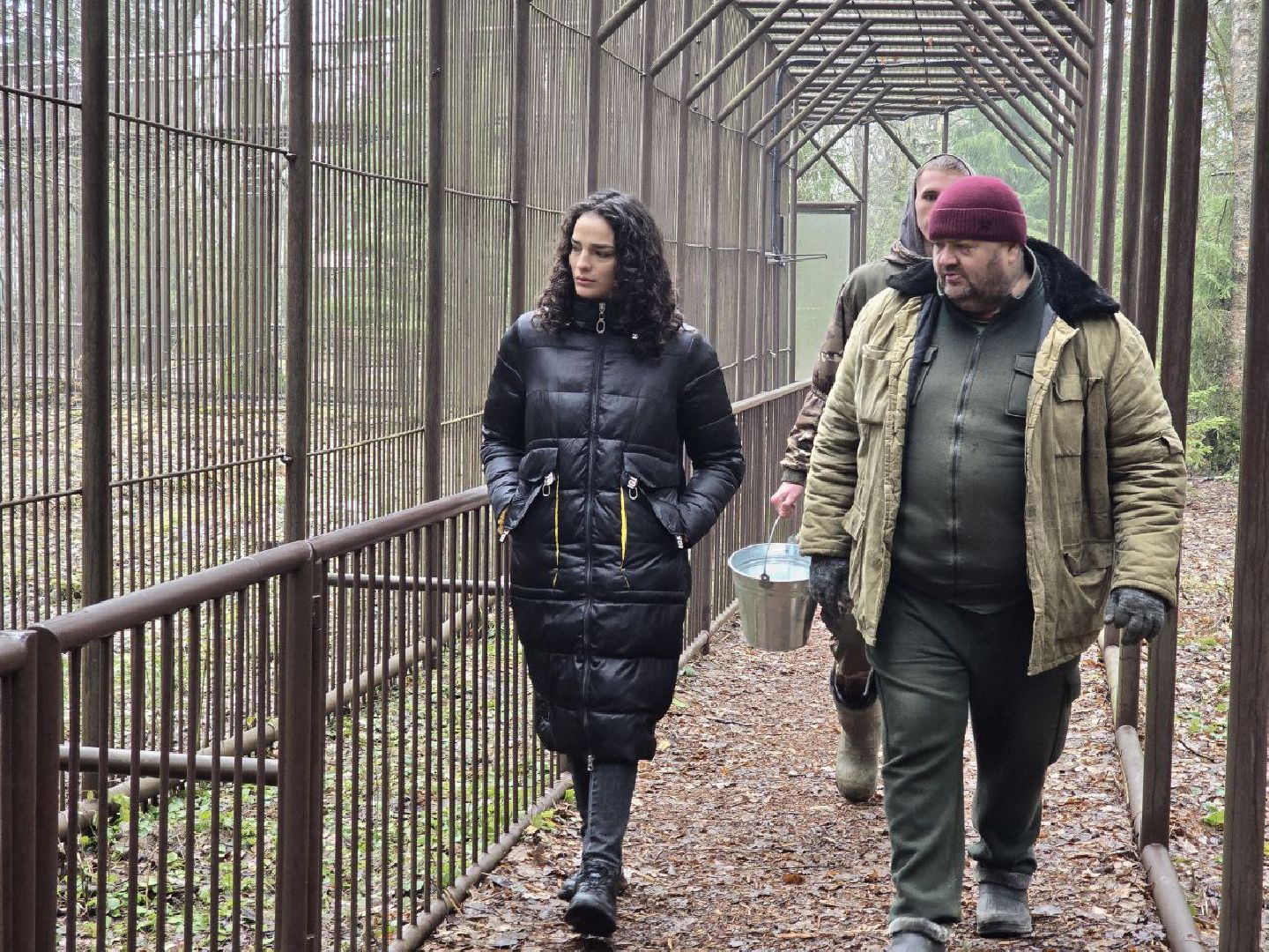 можайск, можайский муниципальный округ, подмосковье, подмосковный подмосковный сафари-парк, парк тигров, хищние кошки, карина черевань, чемпионка мира,