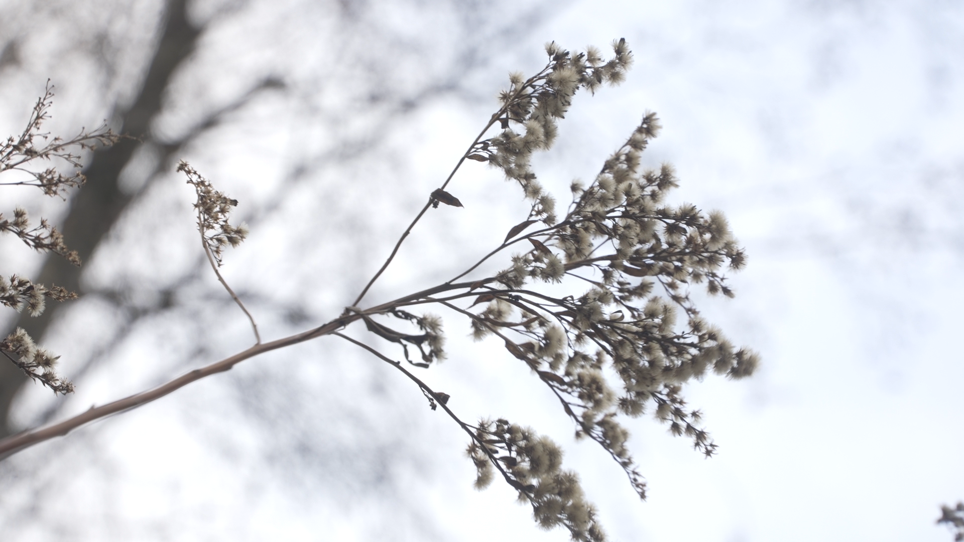 боррелиоз, клещевой энцефалит,укус клеща, детская поликлиника Власиха,