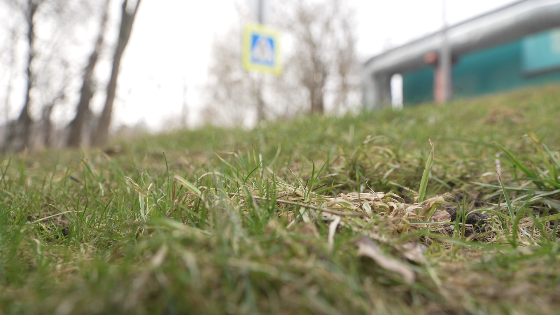 боррелиоз, клещевой энцефалит,укус клеща, детская поликлиника Власиха,