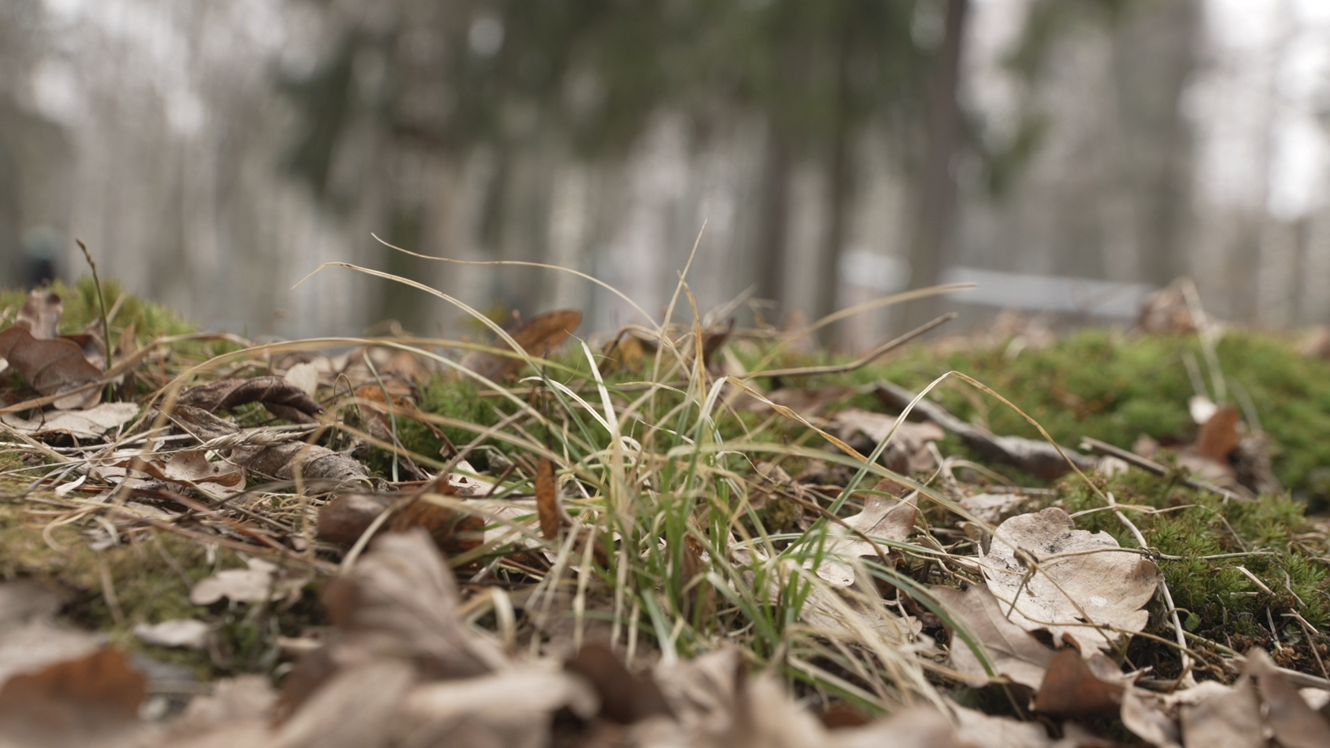боррелиоз, клещевой энцефалит,укус клеща, детская поликлиника Власиха,