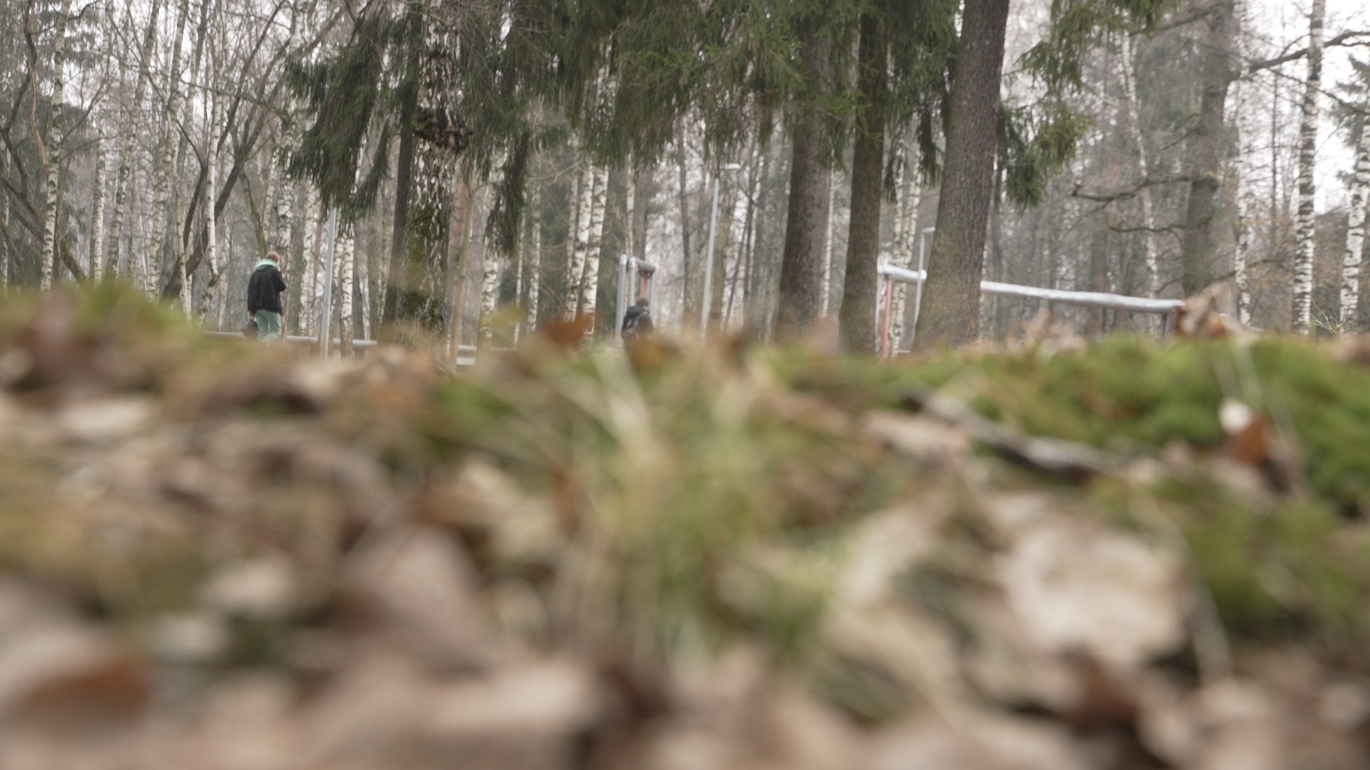 боррелиоз, клещевой энцефалит,укус клеща, детская поликлиника Власиха,