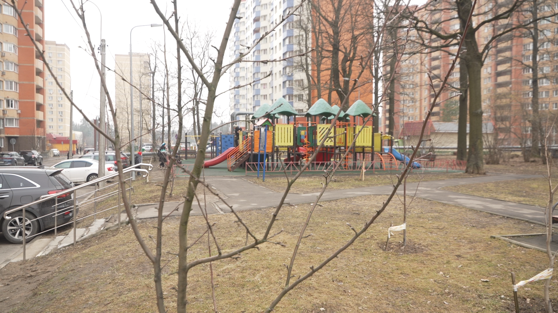 боррелиоз, клещевой энцефалит,укус клеща, детская поликлиника Власиха,