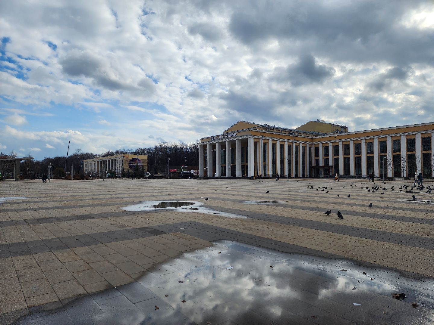 королёв, бизнес, выездная администиация,
