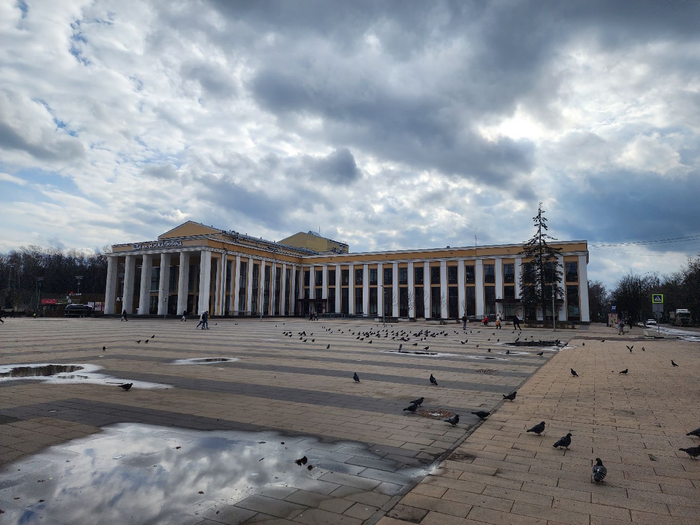 королёв, бизнес, выездная администиация,