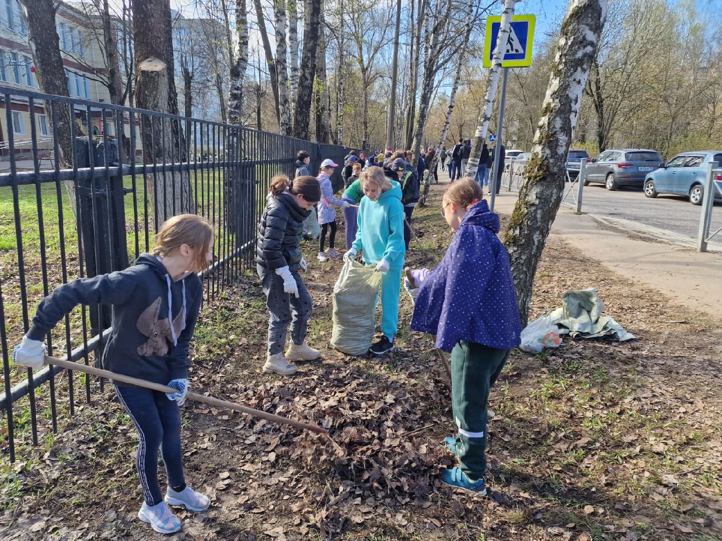 Химки, 23 гимназия, школа, субботник, уборка, благоустройство