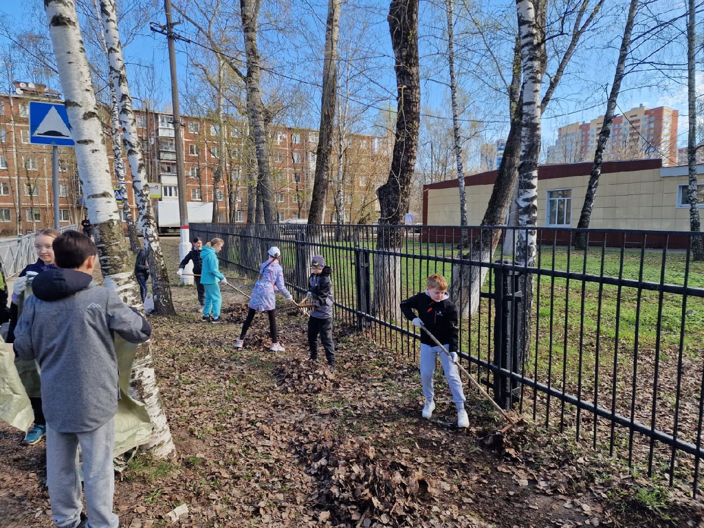 Химки, 23 гимназия, школа, субботник, уборка, благоустройство