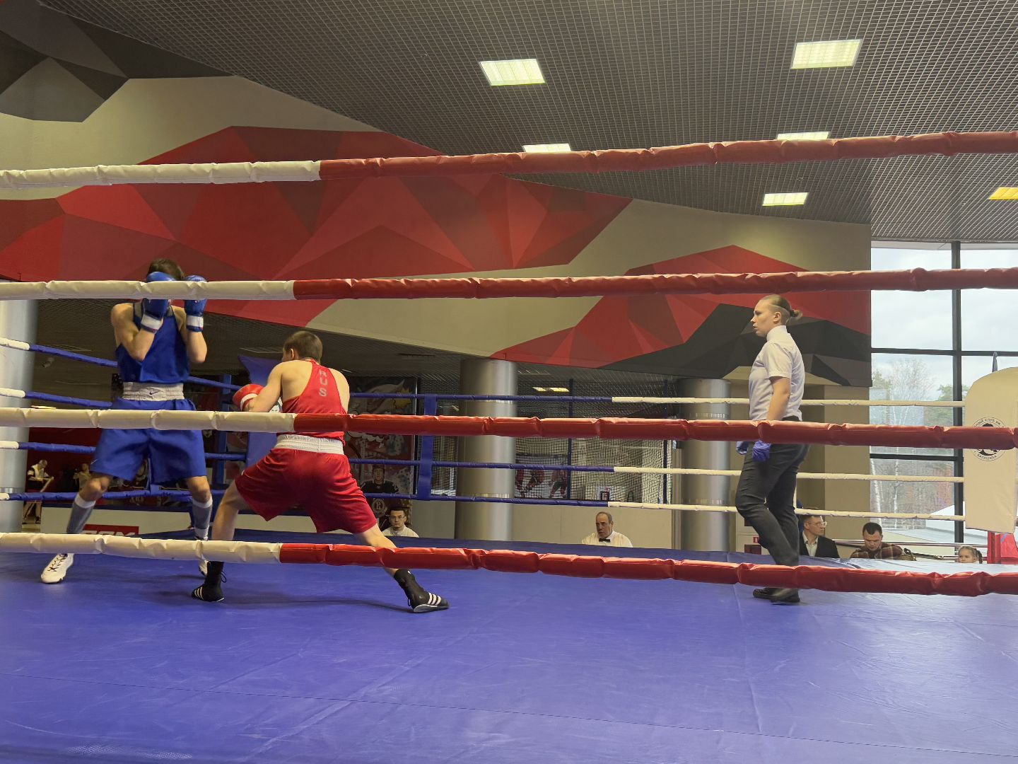 турнир по боксу виктора агеева, спорт, балашиха, ледовый дворец,