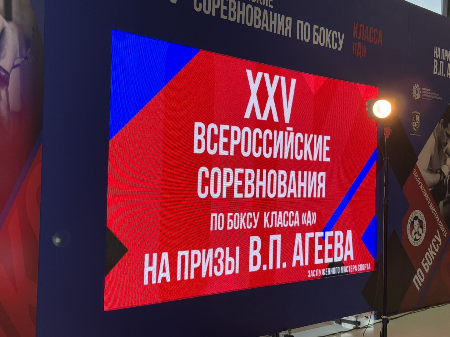 турнир по боксу виктора агеева, спорт, балашиха, ледовый дворец,
