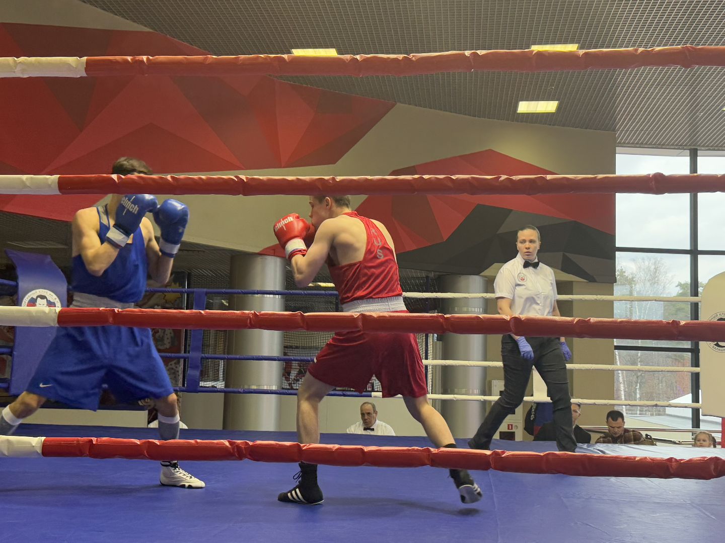 турнир по боксу виктора агеева, спорт, балашиха, ледовый дворец,