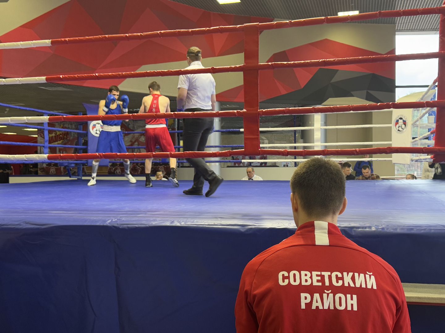 турнир по боксу виктора агеева, спорт, балашиха, ледовый дворец,