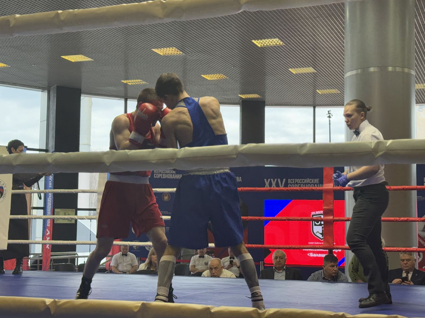 турнир по боксу виктора агеева, спорт, балашиха, ледовый дворец,