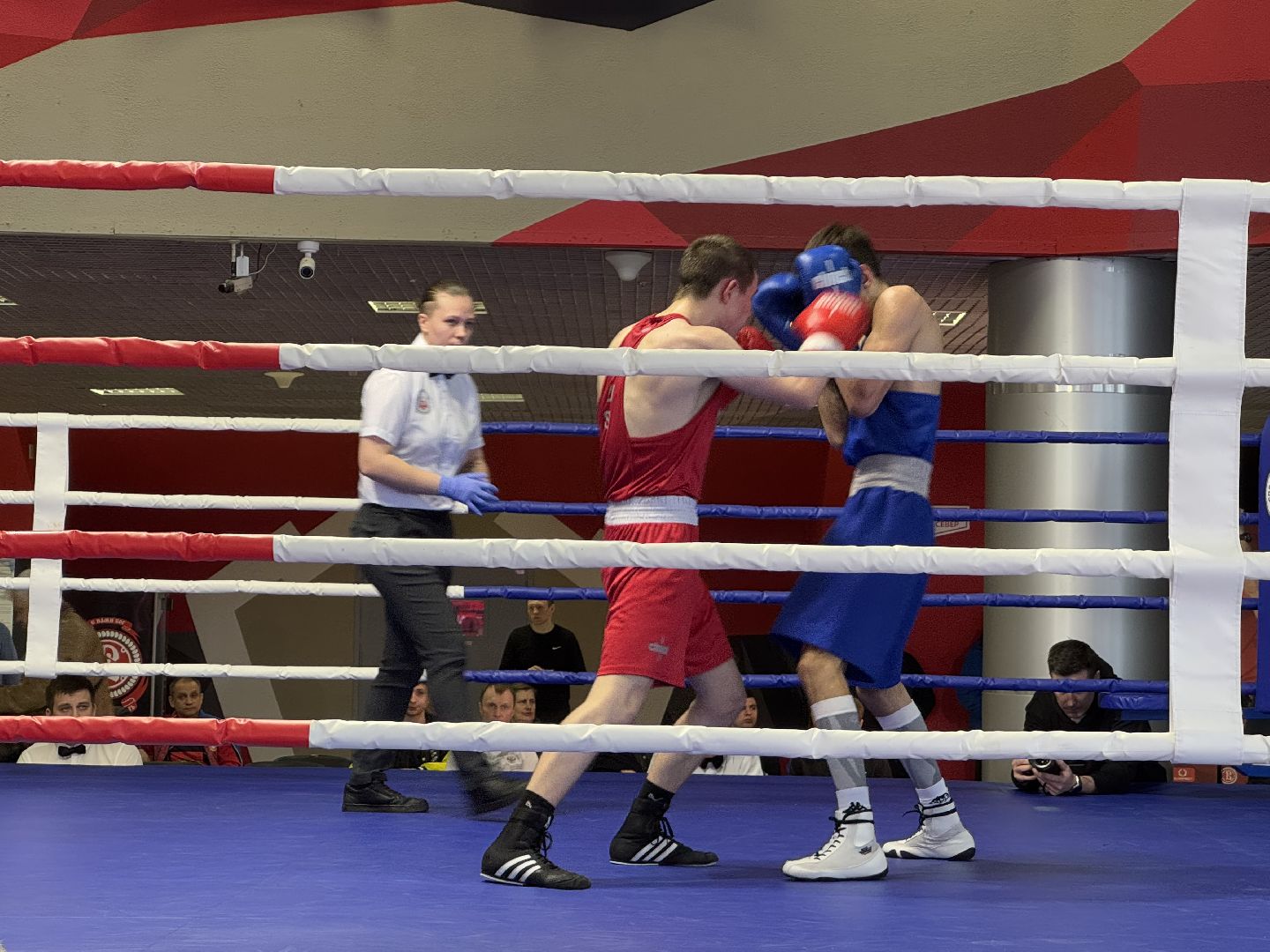 турнир по боксу виктора агеева, спорт, балашиха, ледовый дворец,