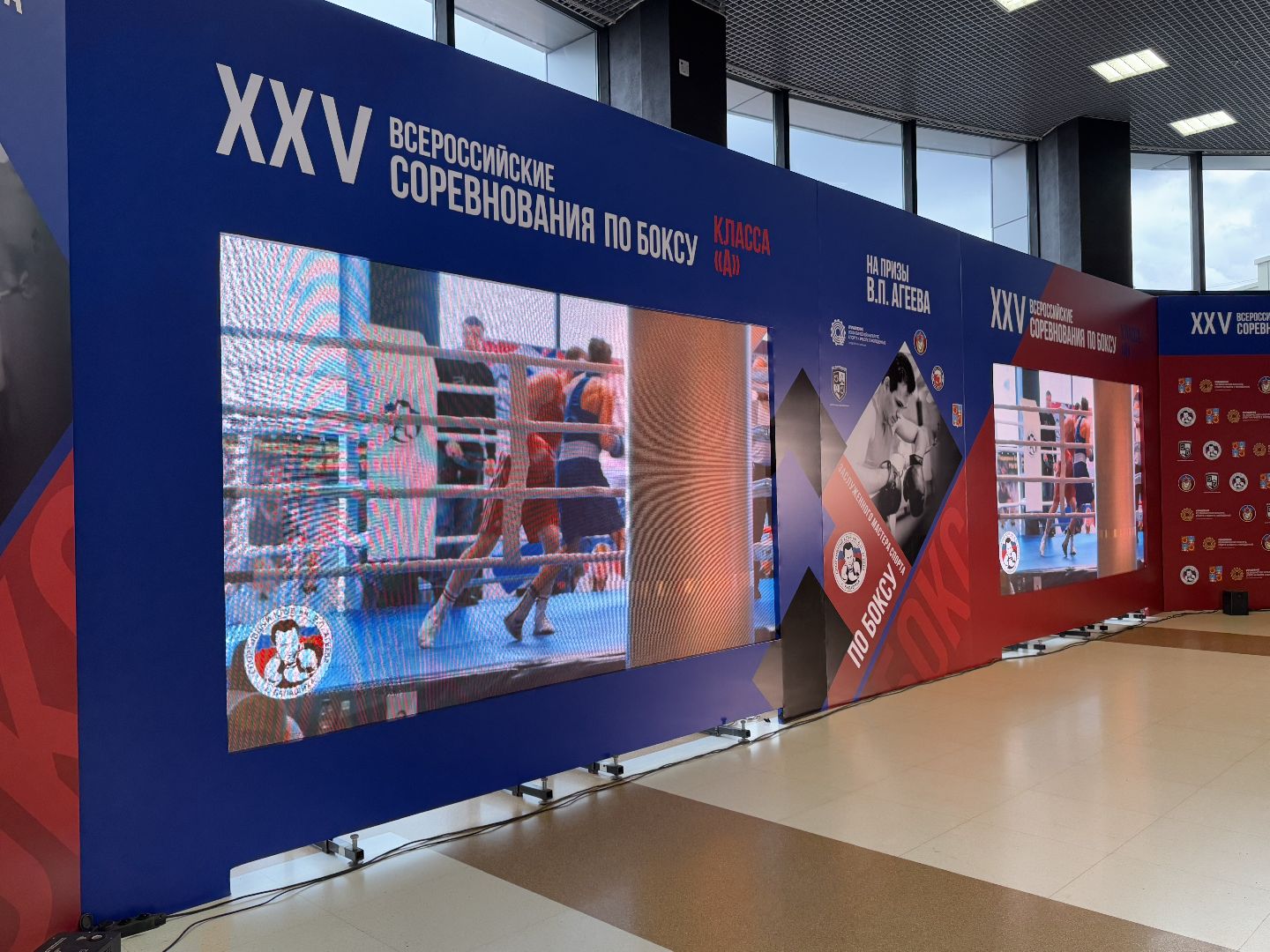 турнир по боксу виктора агеева, спорт, балашиха, ледовый дворец,