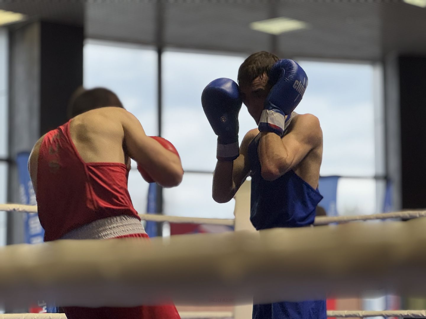 турнир по боксу виктора агеева, спорт, балашиха, ледовый дворец,