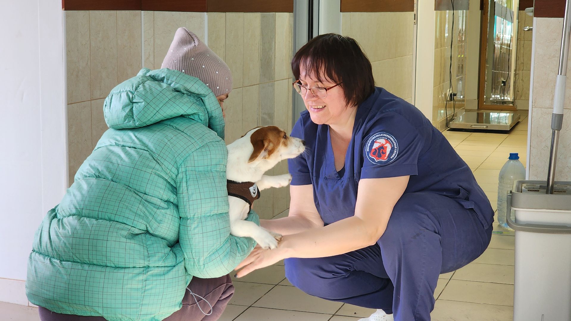 кашира, ветеринар, ветеринарная клиника, клещи, собаки, кошки, пироплазмоз,