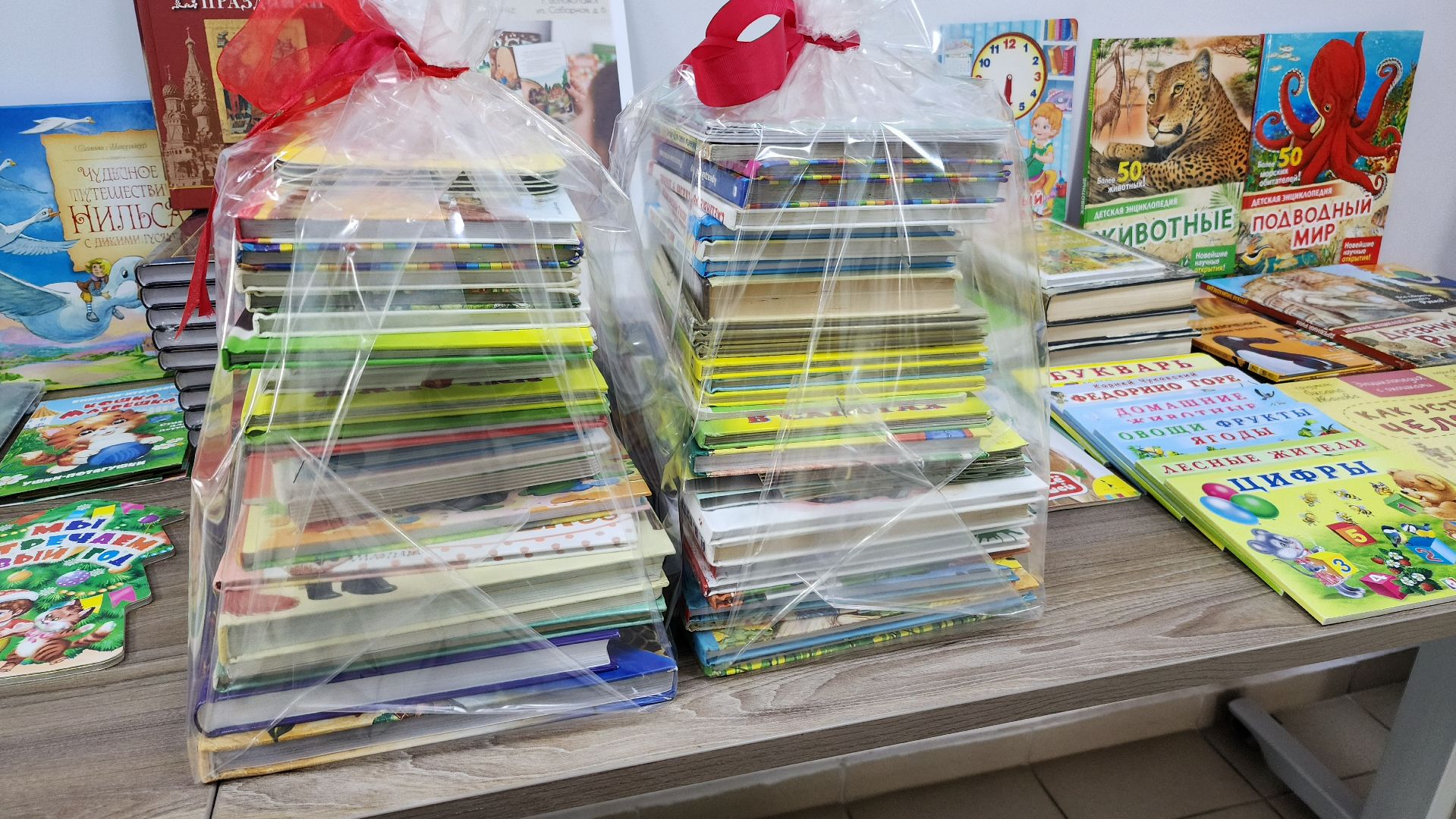 волоколамск, акция, благотворительность, книги детям донбасса,