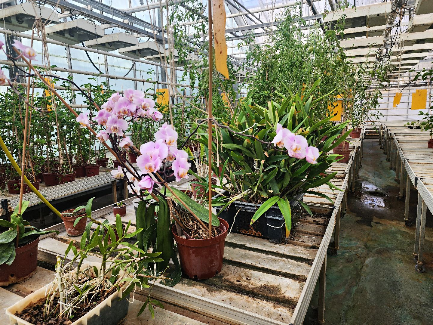 пущино, серпухов, наука,