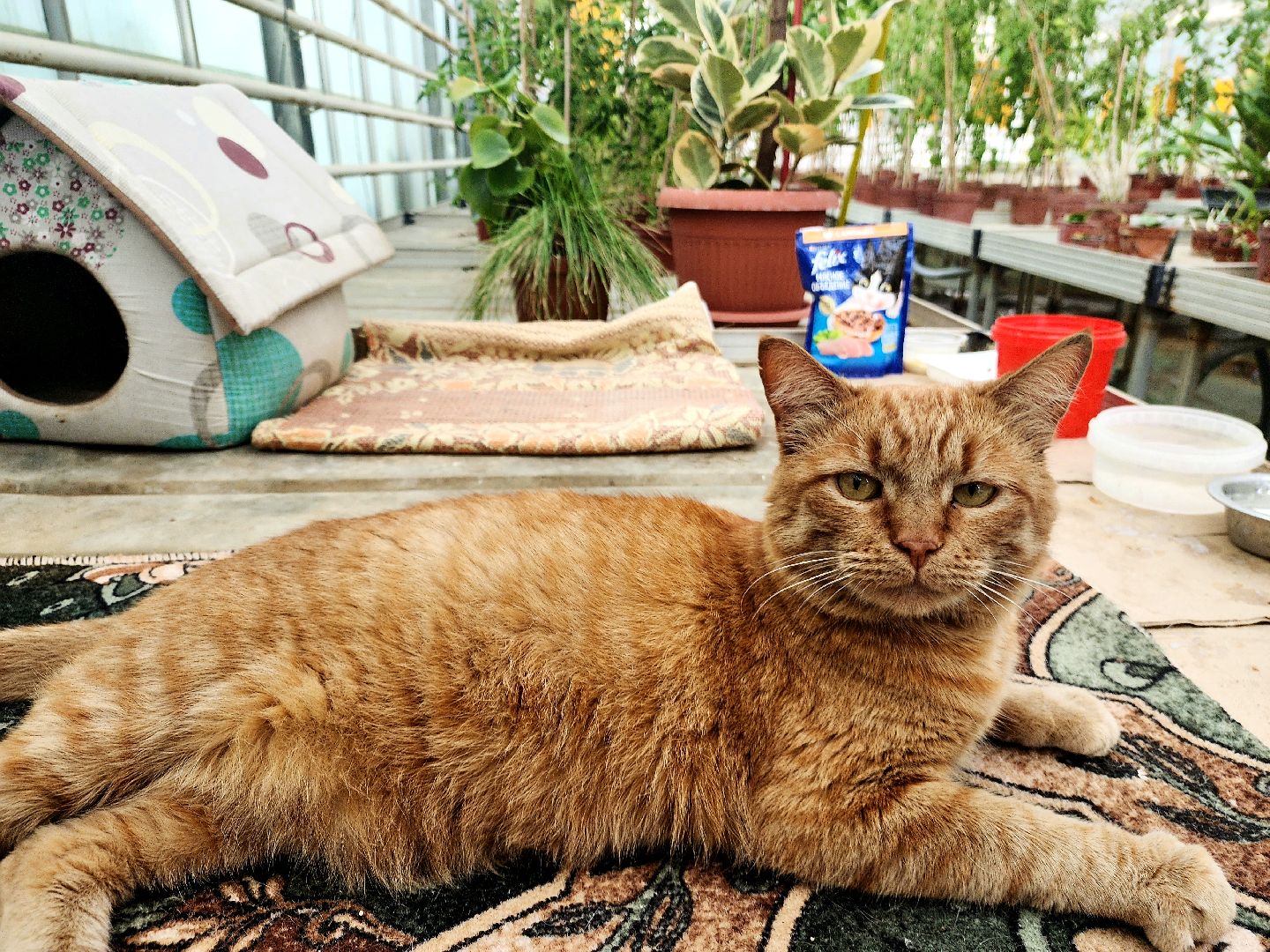 пущино, серпухов, наука,