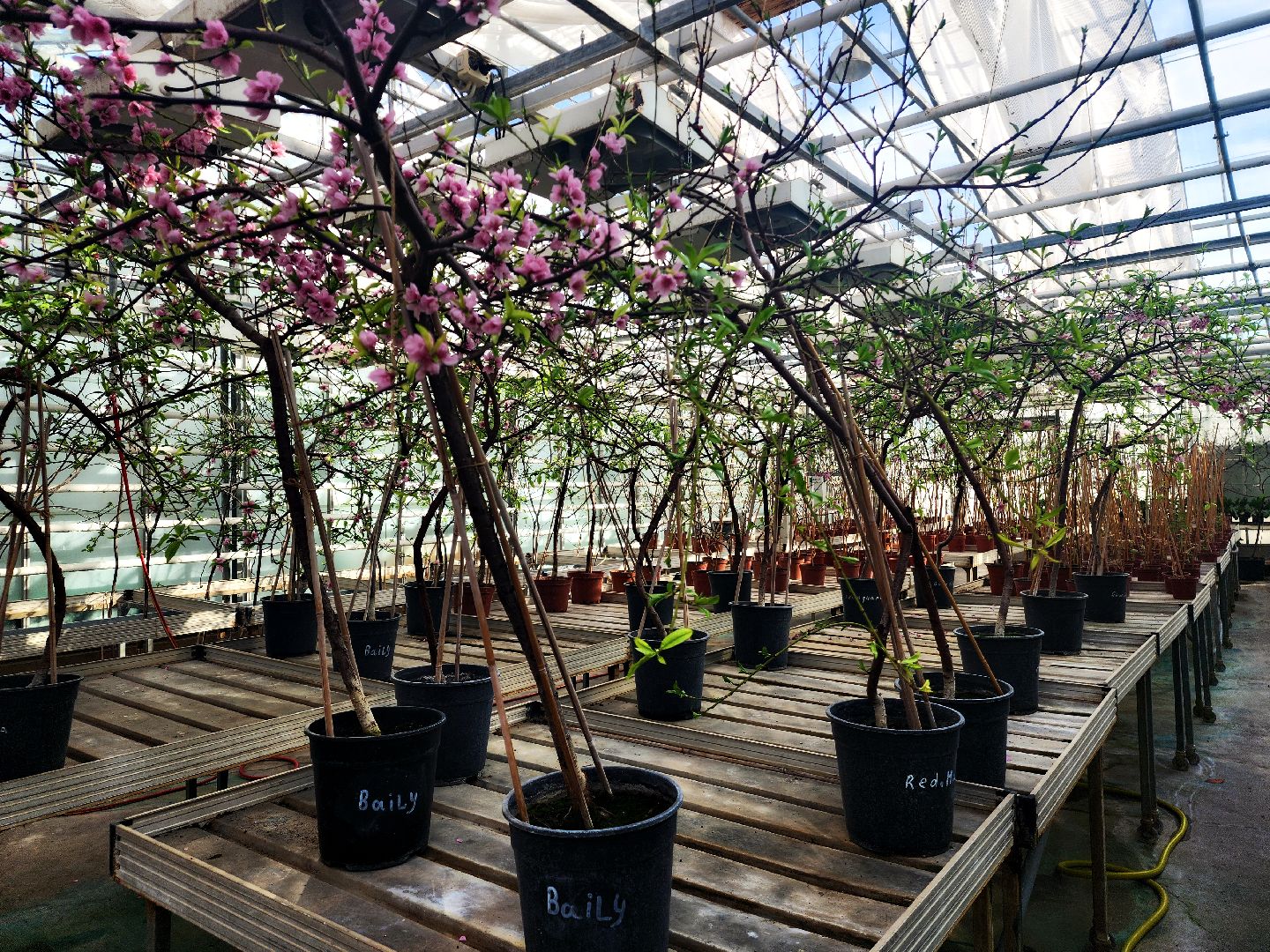 пущино, серпухов, наука,