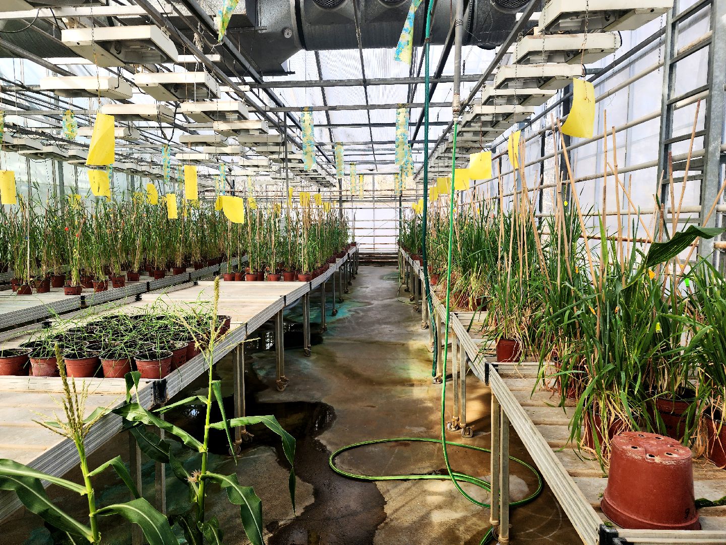 пущино, серпухов, наука,