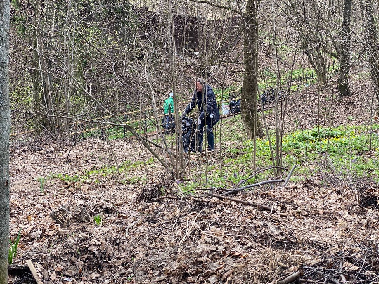 Химки, Сходня, субботник, благоустройство, уборка