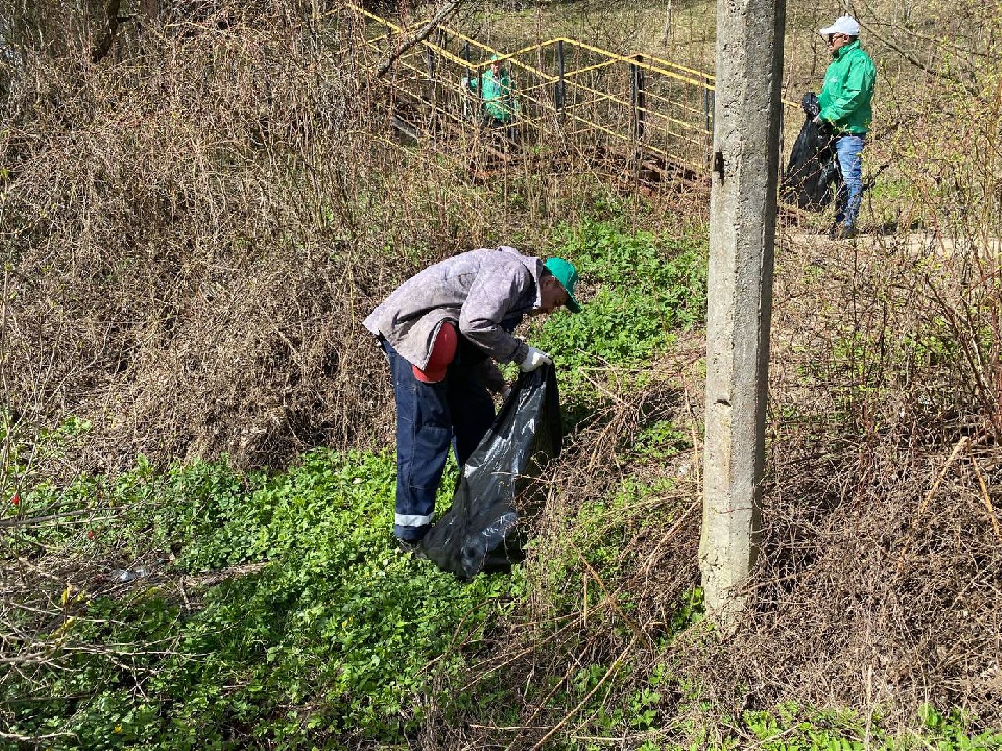 Химки, Сходня, субботник, благоустройство, уборка
