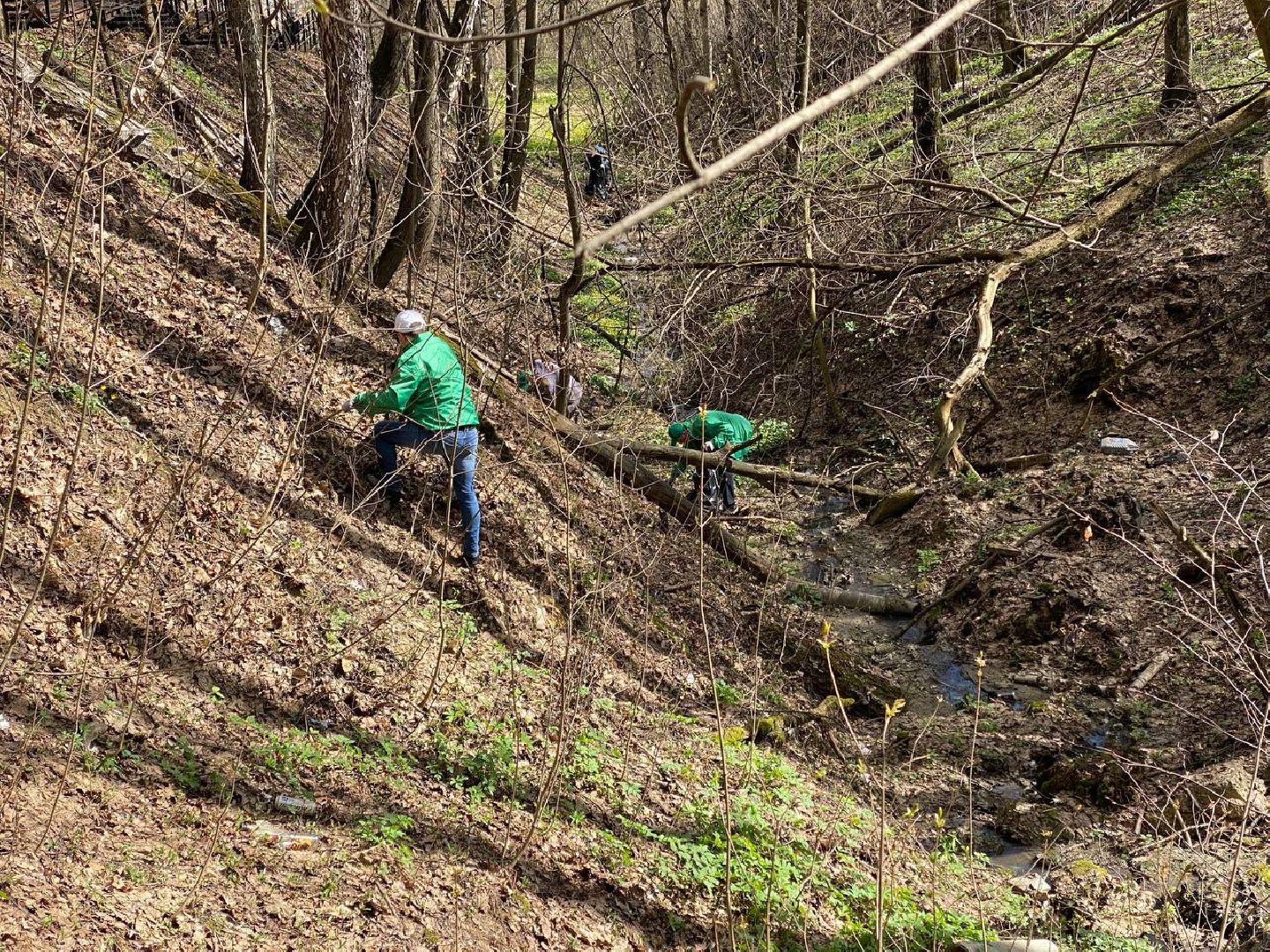 Химки, Сходня, субботник, благоустройство, уборка
