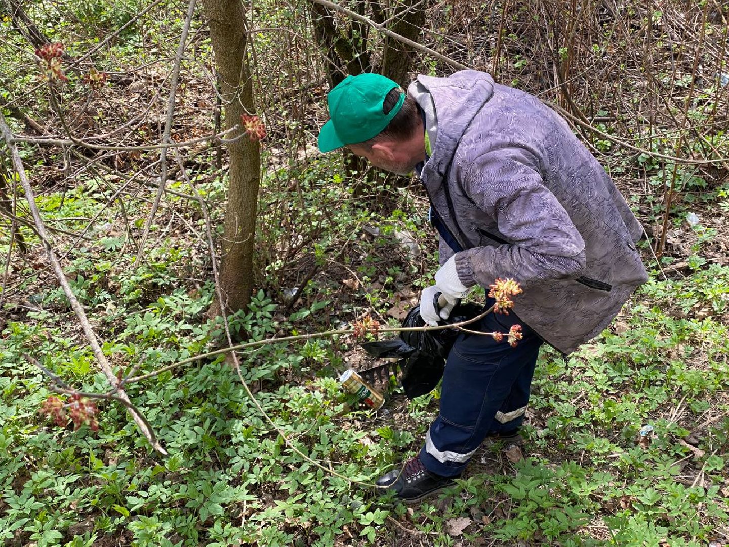 Химки, Сходня, субботник, благоустройство, уборка