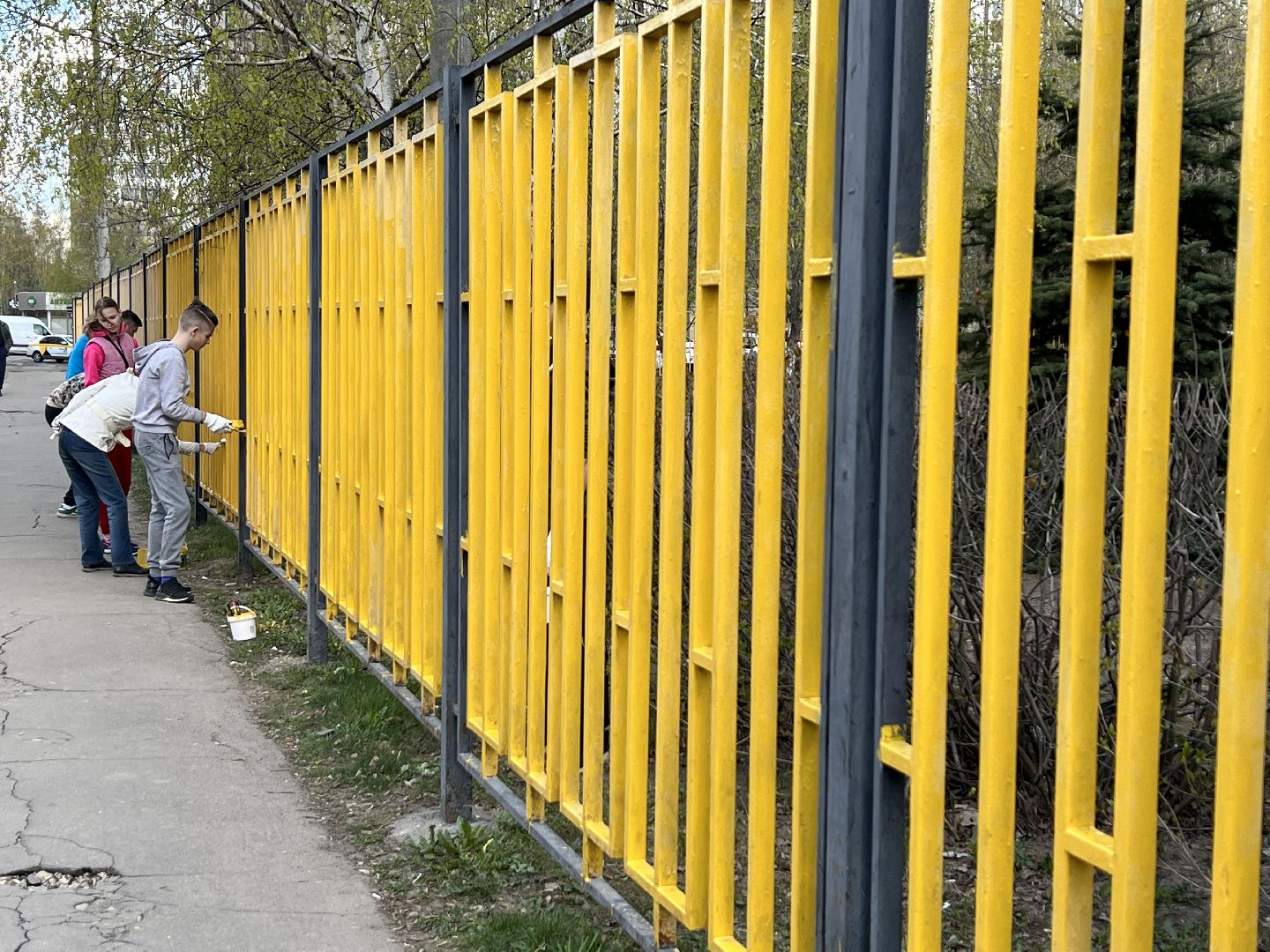 Химки, СОШ №18, школа, субботник, благоустройство, уборка