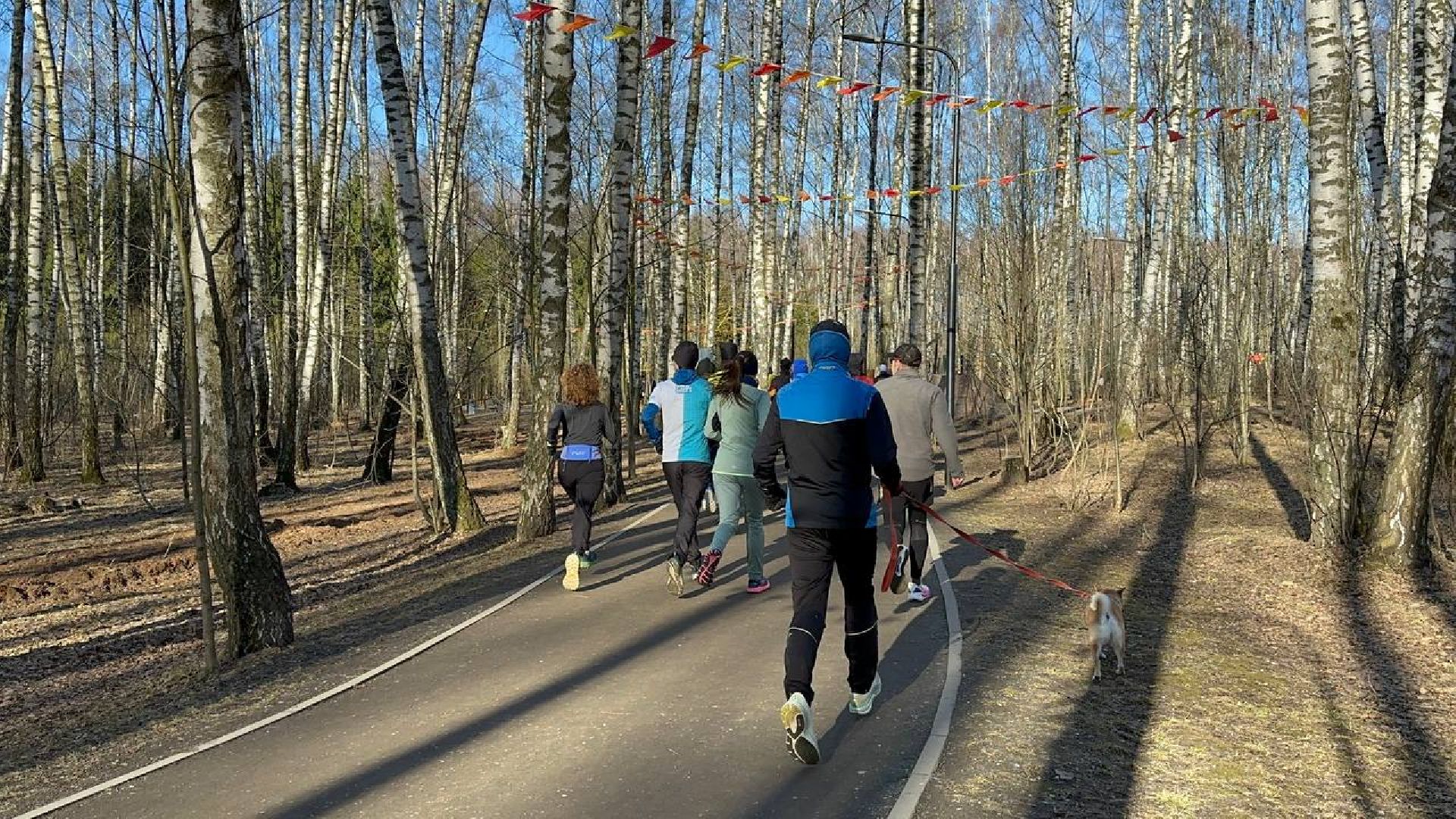 5 верст, спорт, домодедово,