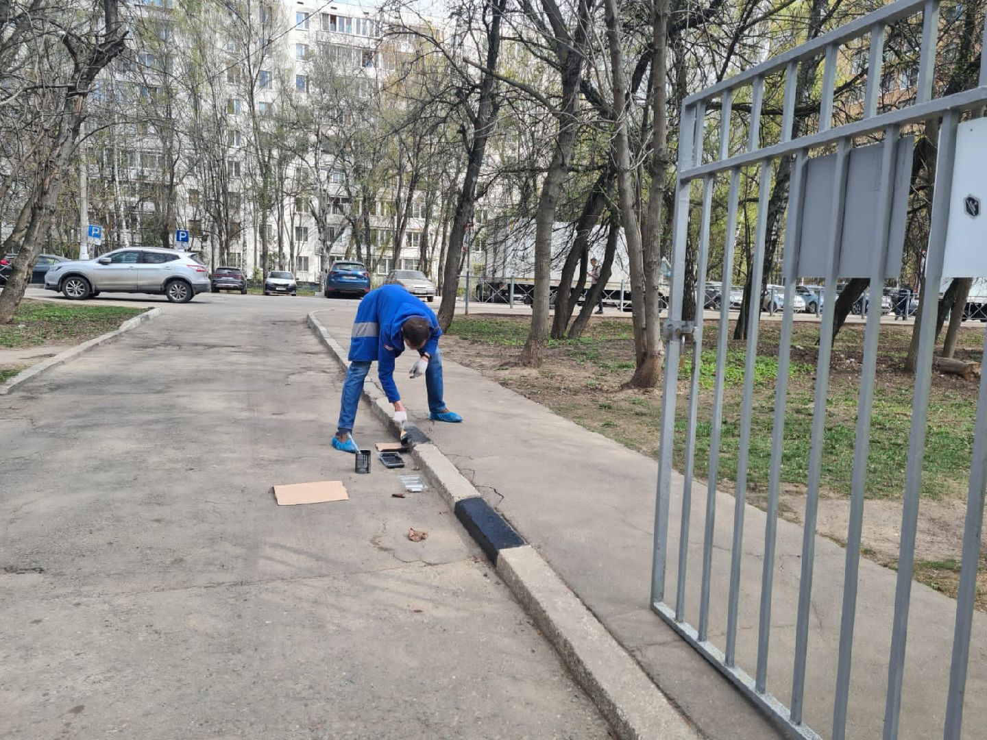 Химки, Школа равных возможностей, субботник, благоустройство, уборка