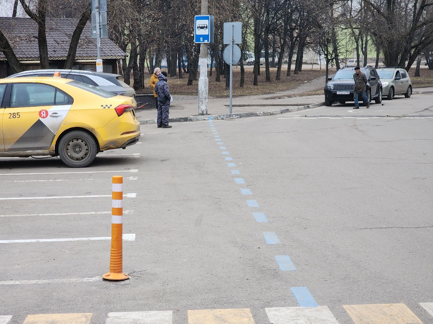 долгопрудный, платные парковки, парковки для инвалидов, центральный парк, дорожная разметка,