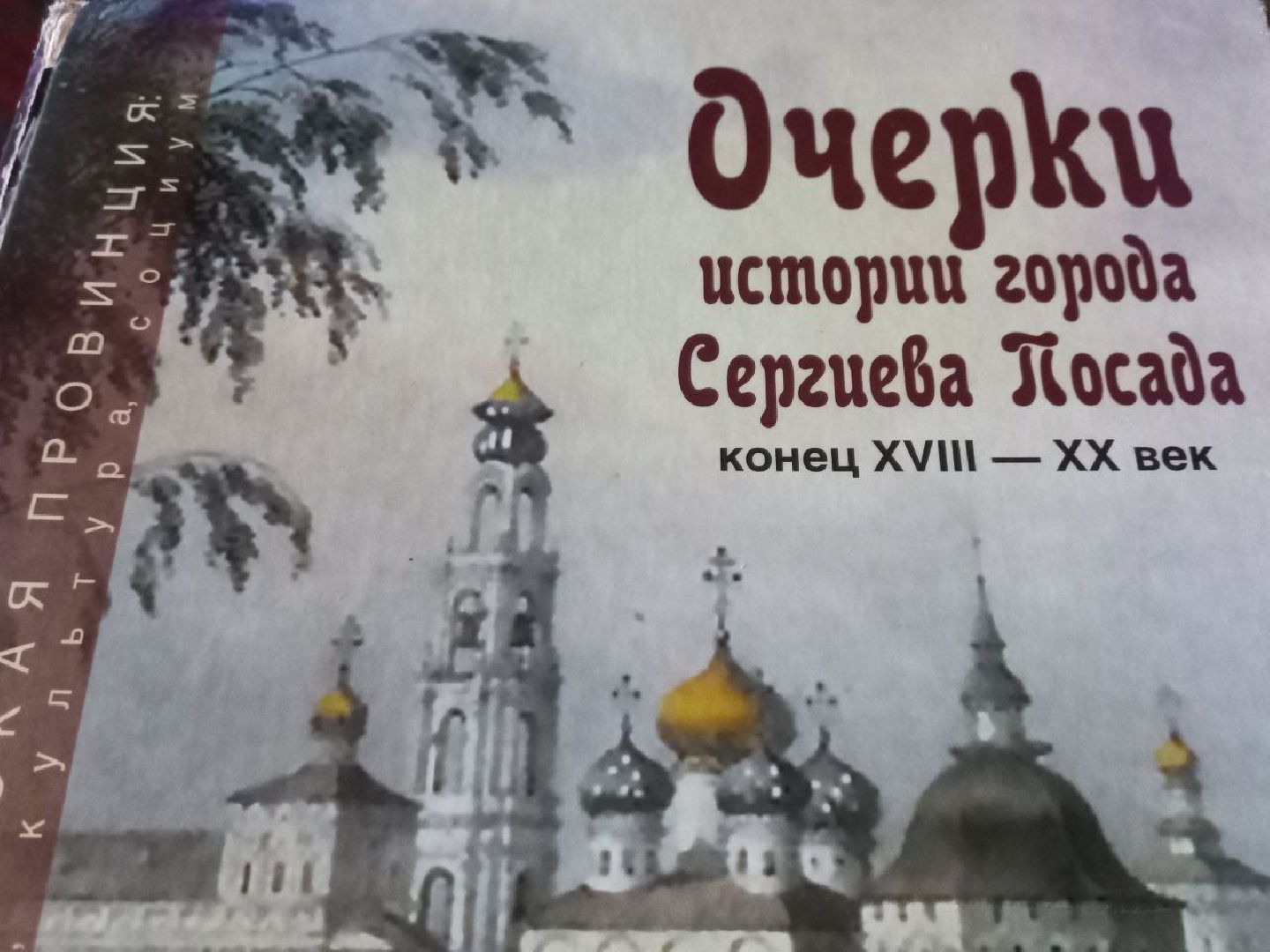 сергиев посад, трикотажка, книги, издательство ad marginem, книжный маркет, михаил семенов,