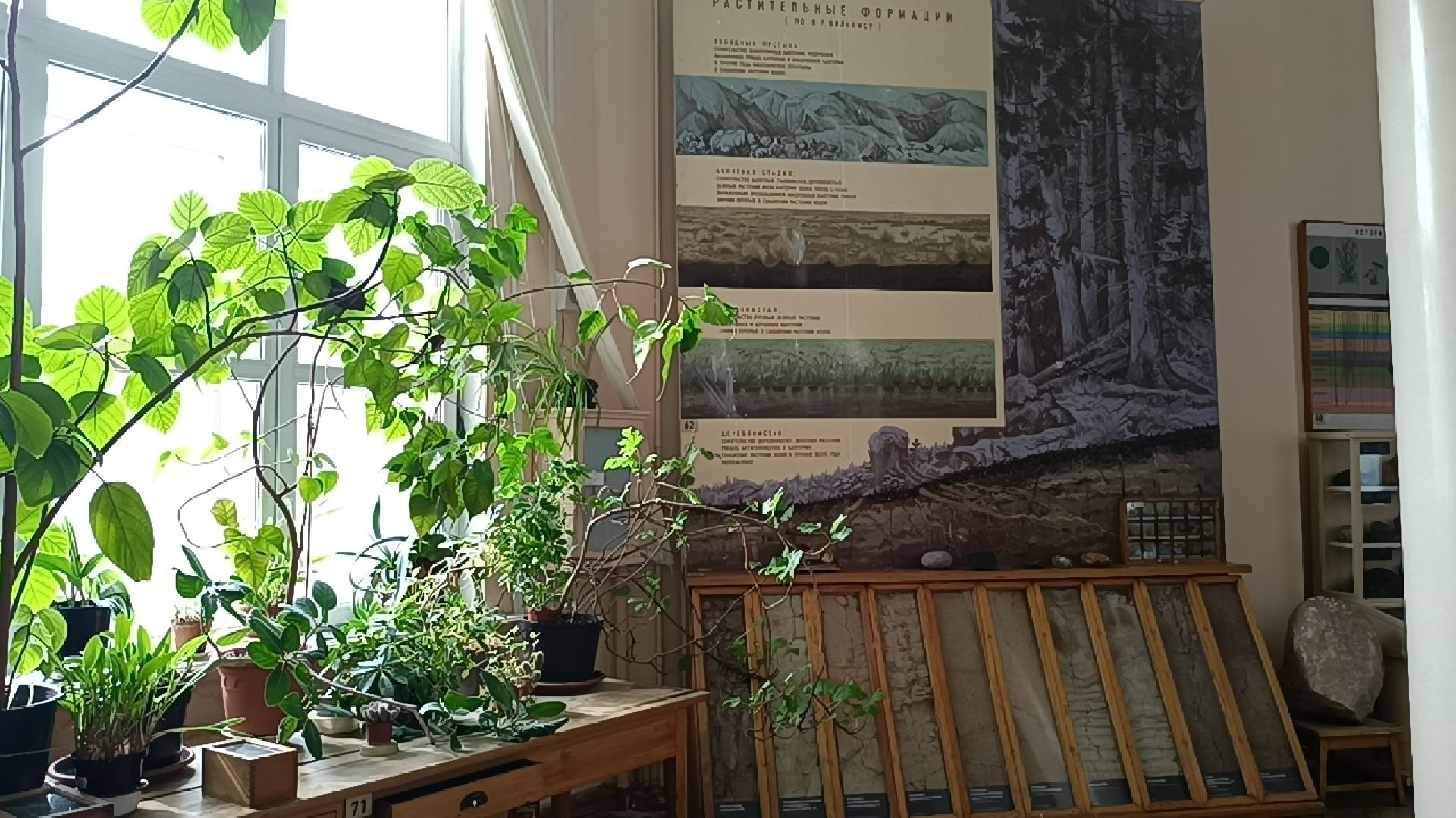 лобня, сельское хозяйство, наука, фотография,