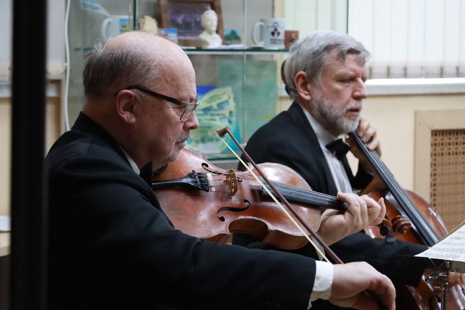 истра, культура, библиотека, концерт,