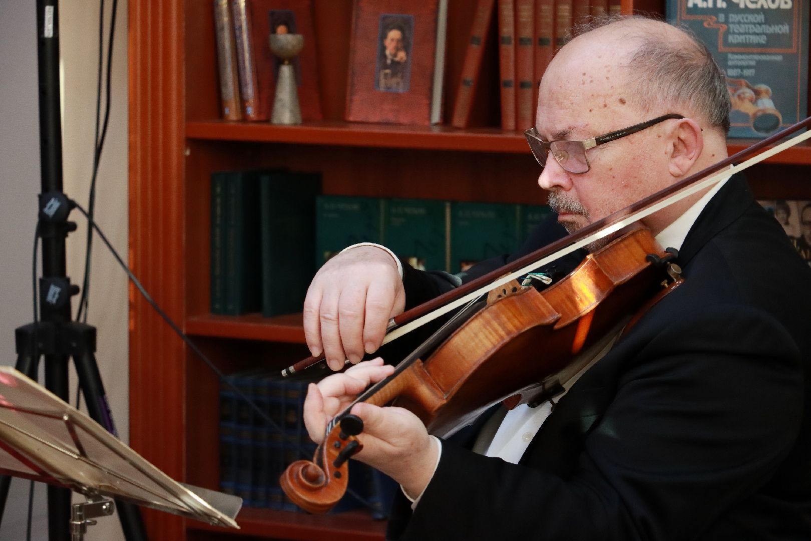 истра, культура, библиотека, концерт,