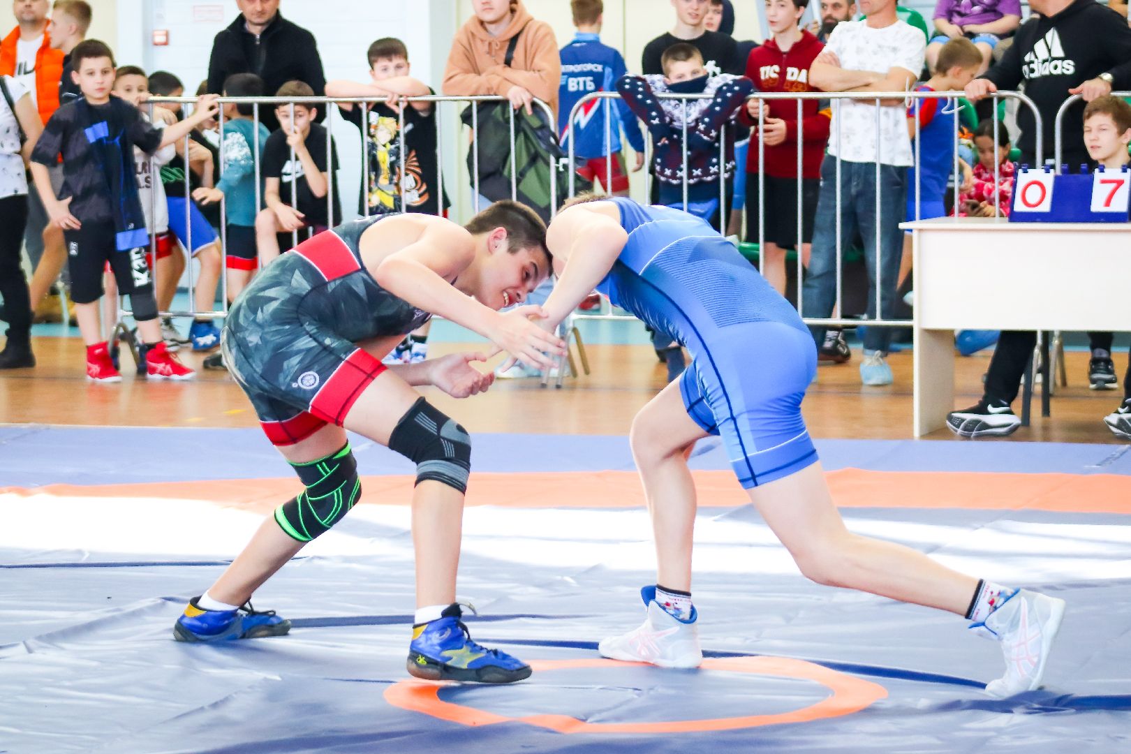 Клин, общество, греко-римская борьба, Федерация спортивной борьбы, соревнования, спорт детям,