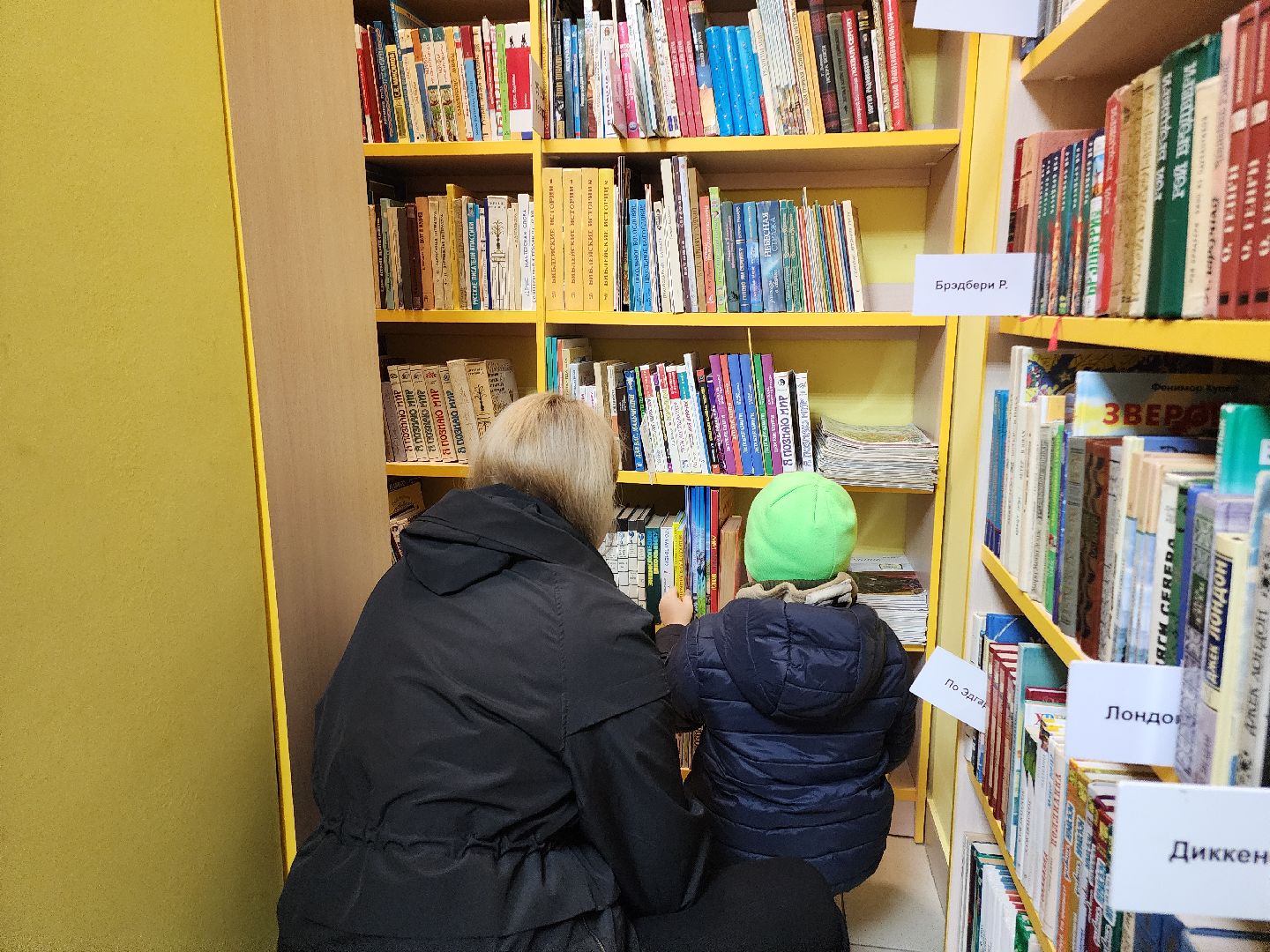 Егорьевск, Подмосковье, Московская область, библиотека, чтение,