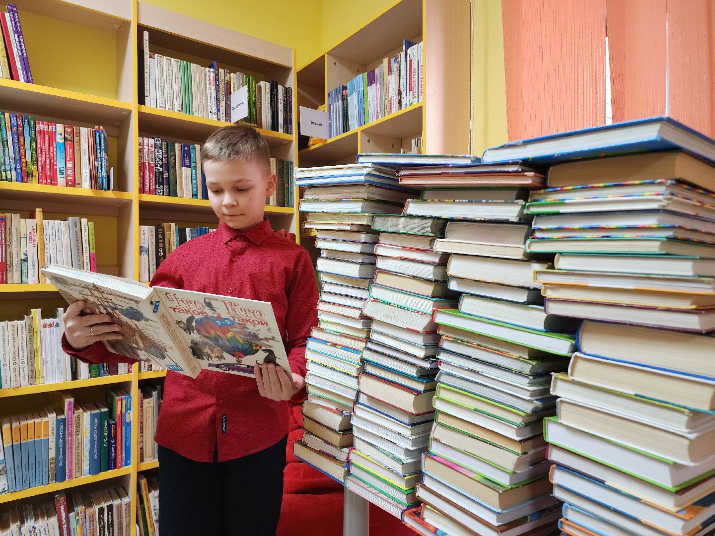 Егорьевск, Подмосковье, Московская область, библиотека, чтение,